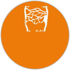 Lymphoedeme primitif